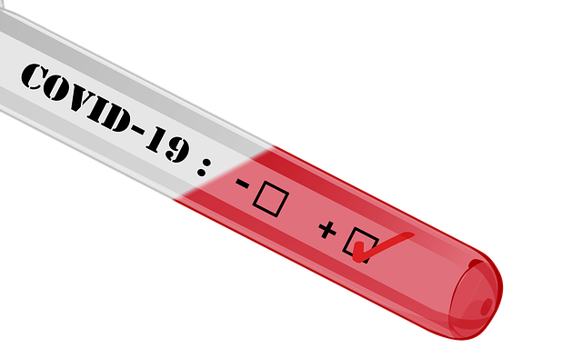 Pruebas diagnósticas para Covid-19